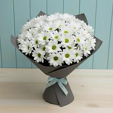 Букет цветов из:  Хризантемы #REPLACE_PRED# Ухолово