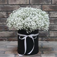 Цветочная композиция из Гипсофила в шляпной коробке в Ухолово