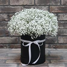 Цветочная композиция из Гипсофила в шляпной коробке в Ухолово