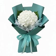 Букет цветов из:  Гортензия в Ухолово